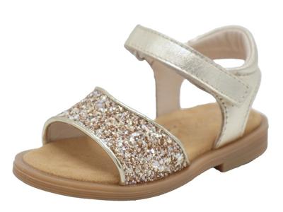 Beberlis Creed Beberlis Creed