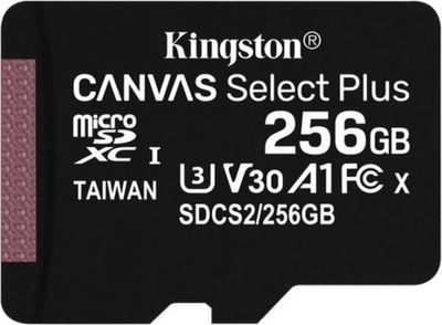 Kingston 256GB microSDXC geheugenkaart - A1 Video Class V30 UHS-I - zonder SD adapter