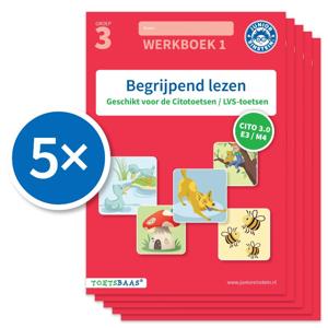 Begrijpend lezen werkboek 1 (Set van 5) (Paperback)