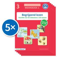 Begrijpend lezen werkboek 1 (Set van 5) (Paperback)