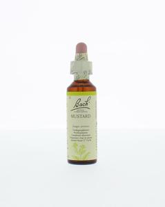 Bach Mustard/herik