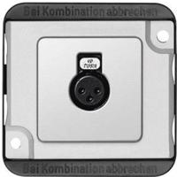 Merten 460860 Luidsprekerstekkerdoos Pantser Zilver (mat) 1 stuk(s)