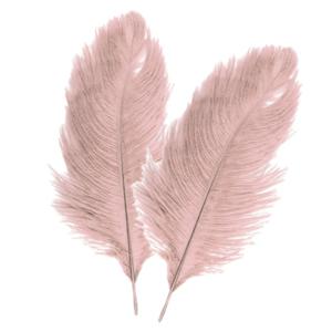 Chaks Struisvogelveren/sierveren - 2x - oud roze - 30-35 cm - decoratie/hobbymateriaal   -