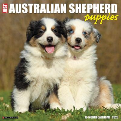 Australian Shepherd Puppies Kalender 2026 Australian Shepherd Puppies Kalender 2026