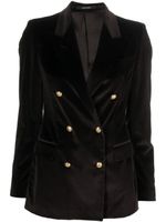 Tagliatore double-breasted velvet blazer - Marron