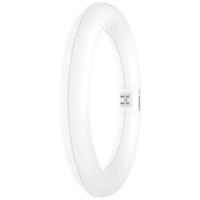 OSRAM LED-Ring Energielabel: E (A - G) G10q 11 W = 22 W Koudwit 1 stuk(s) (Ø x l) 312 mm x 212 mm