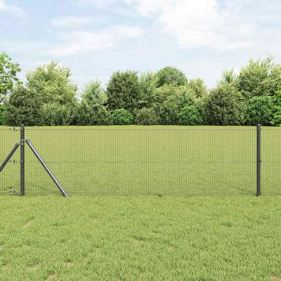 Gelaste draadhek Grijs 0.6 x 10 m Staal