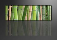 Schilderij - Bamboe, Groen, 120X40cm, 1luik - thumbnail