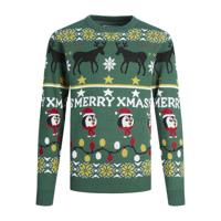 Unisex Trui JORHOHO Jack & Jones 12221312 Groen - Maat: 14 Jaar