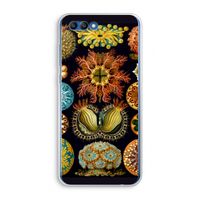 Haeckel Ascidiae: Honor 10 Transparant Hoesje