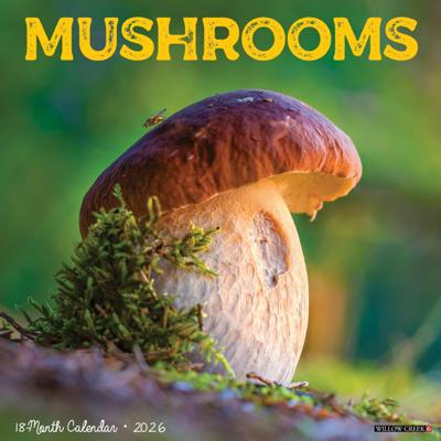 Paddenstoelen Kalender 2026