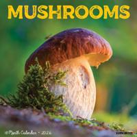 Paddenstoelen Kalender 2026