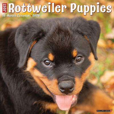 Rottweiler Puppies Kalender 2026