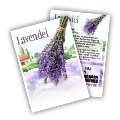 Cadeau premium Lavendel (100 zakjes)