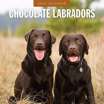 Labrador Retriever Bruin Kalender 2026