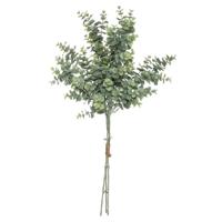 Atmosphera kunstplant boeketje - eucalyptus takken - groen - 64 cm