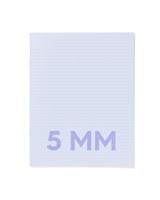 HEMA Schriften Blauw A5 Geruit 5mm - 3 Stuks