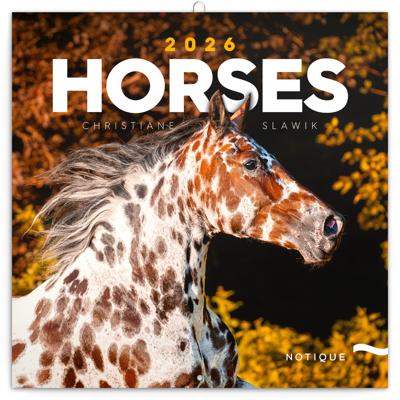 Paarden Kalender 2026
