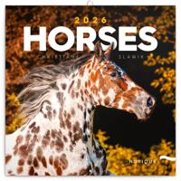 Paarden Kalender 2026 Paarden Kalender 2026