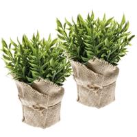 Emerald Kunstplant - 2x - Muizendoorn Kruidenplant - Groen - In Jute Pot - 20 cm