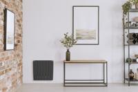 Elektrische Radiator BWS Mash 58x108 cm 2000W Muurbevestiging Met Stekker en Afstandsbediening Antracietgrijs