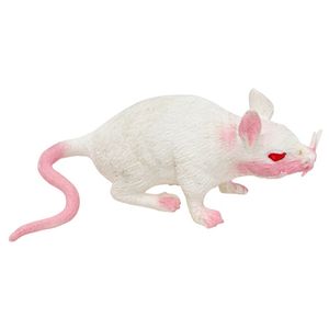 Stretchy nep rat 17 x 14 cm - wit - Horror/griezel thema decoratie