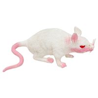 Stretchy nep rat 17 x 14 cm - wit - Horror/griezel thema decoratie - thumbnail