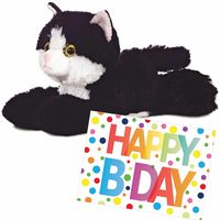 Pluche knuffel kat/poes zwart/witte 20 cm met A5-size Happy Birthday wenskaart