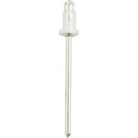 KS Tools 420.1782 Afdichtklinknagel met 6,2mm flens voor Toyota,verpakking van 10 stuks