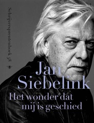 Schrijversprentenboek (Paperback)