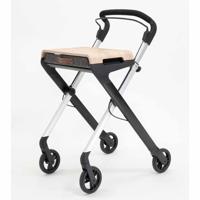 Indoor rollator (5,2 kg) | Kies uw kleur : Aluminium | Rollbuddy