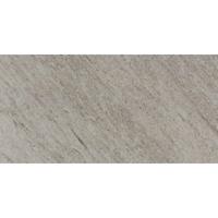 Floorgres Walks 1.0 728756 Vloertegel 300X600 Gray 10mm Mat Ret.R11
