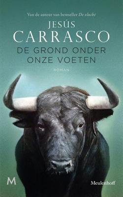 De grond onder onze voeten - Jesús Carrasco - ebook