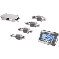 Kern CW 300RKFN Weegschaal (bouwpakket) Weegbereik (max.) 300 kg