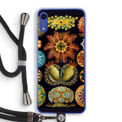 Haeckel Ascidiae: Honor Play 8A Transparant Hoesje met koord