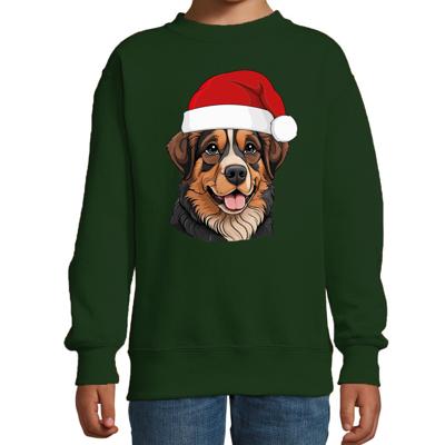 Kersttrui / sweater honden - kinderen - Berner Sennenhond - groen - kerstmuts - Kerstmis