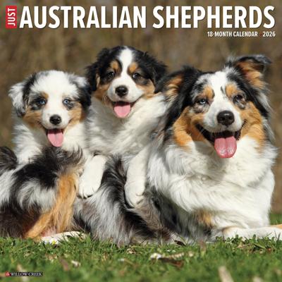 Australian Shepherd Kalender 2026