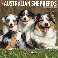 Australian Shepherd Kalender 2026