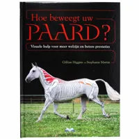 Hoe beweegt uw paard? maat:-leeg-