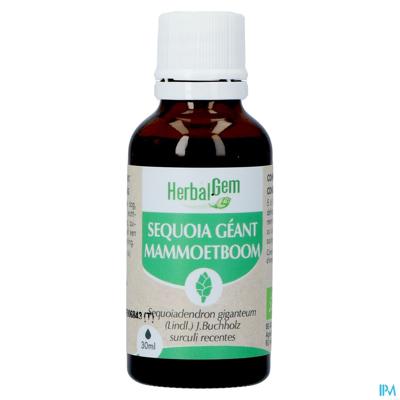 Herbalgem Mammoetboom Bio 30ml