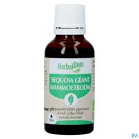 Herbalgem Mammoetboom Bio 30ml
