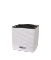 Sierpot Lechuza Cube Colour 16 wit