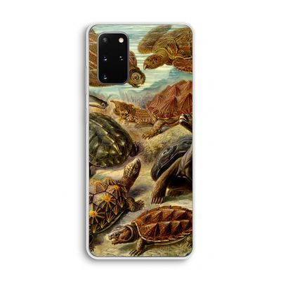 Haeckel Chelonia: Samsung Galaxy S20 Plus Transparant Hoesje