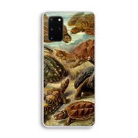 Haeckel Chelonia: Samsung Galaxy S20 Plus Transparant Hoesje