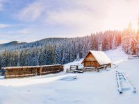 Tuinposter Winters landschap