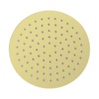 Hoofddouche Aloni | 30 cm | Opbouw | Messing | Rond | Gebosteld goud