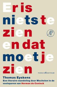 Er is niets te zien en dat moet je zien - Thomas Eyskens - ebook