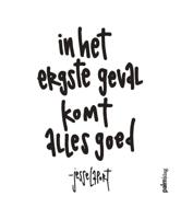In het ergste geval komt alles goed (Paperback)