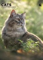 Katten A3 Kalender 2026