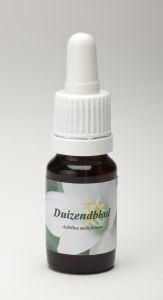 Duizendblad wit